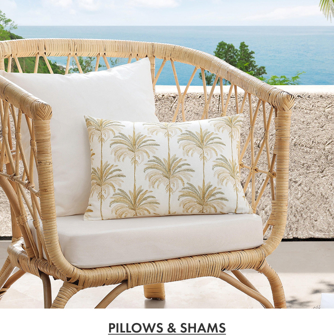 TB Pillows & Shams