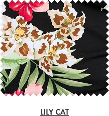 TB Lily Cat Collection