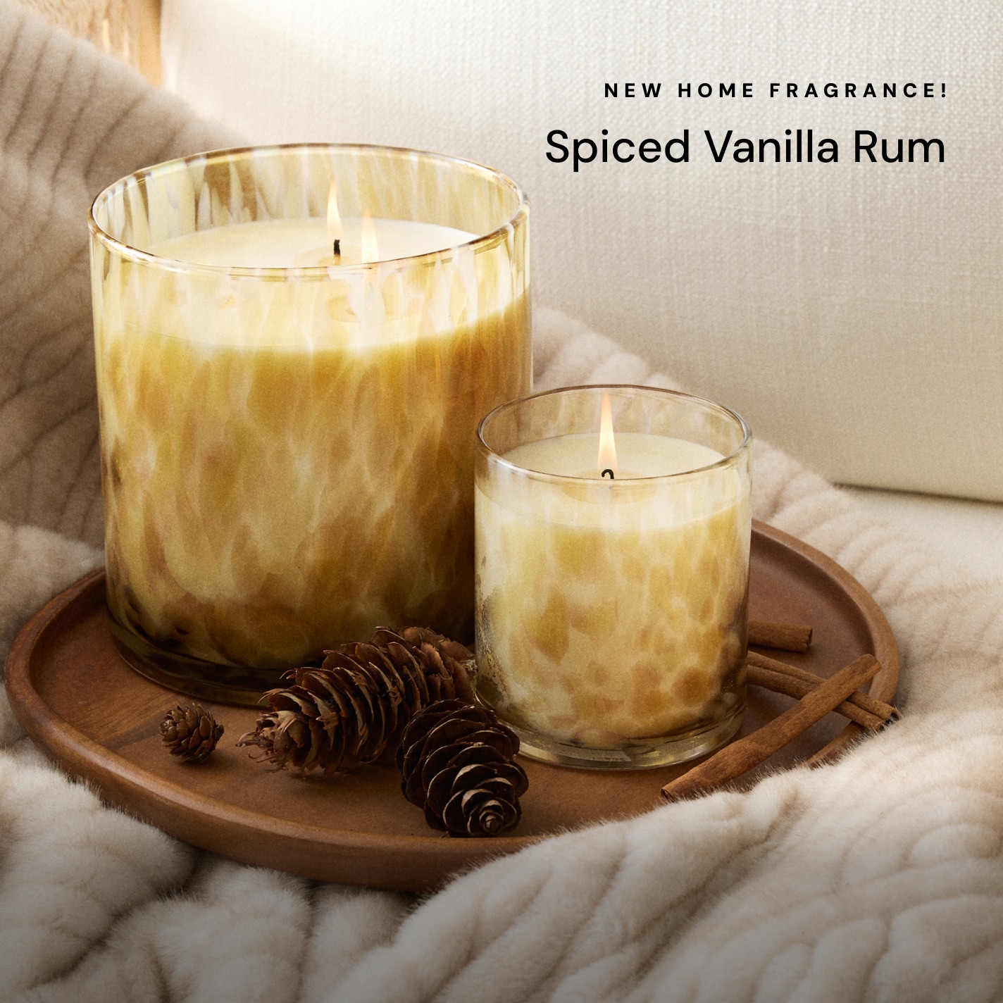 Image of Tommy Bahama Spiced Vanilla Rum Candle