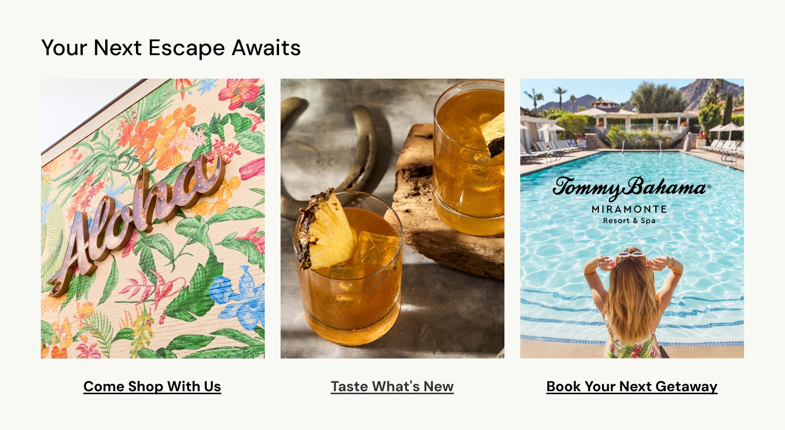 Your Next Escape Awaits
