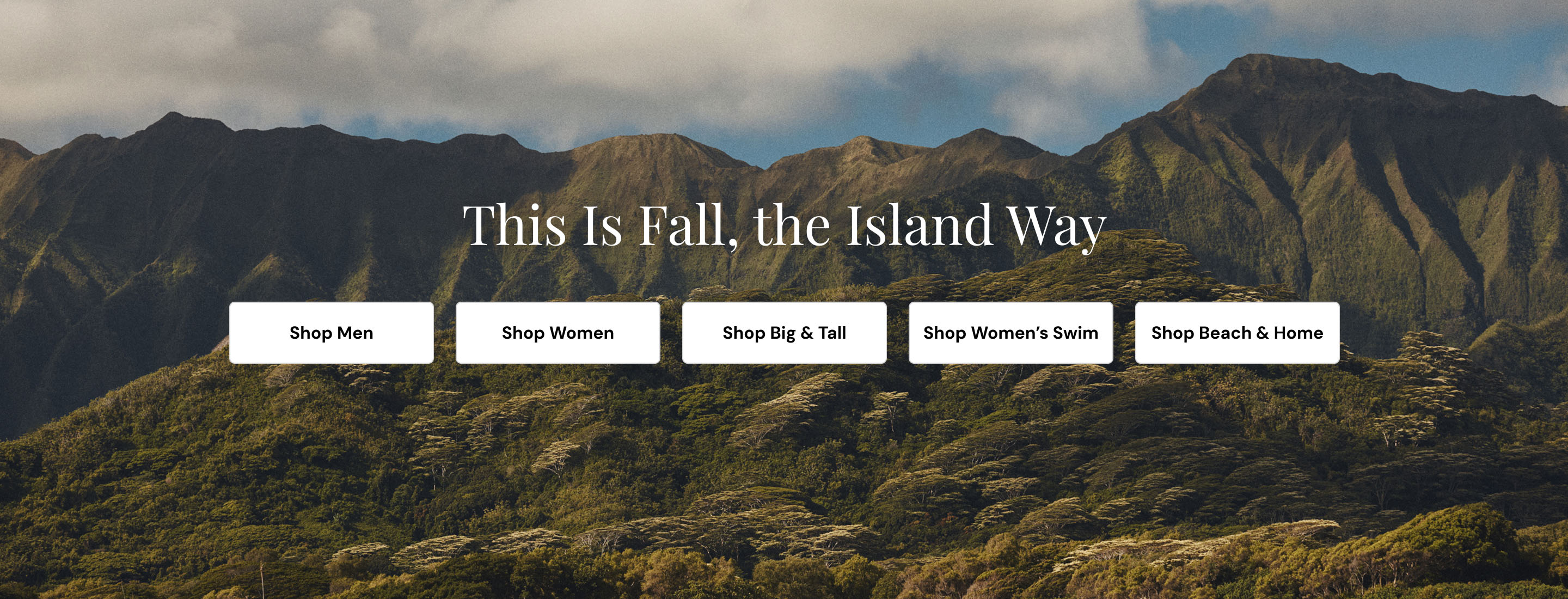 The Fall Edit - October Spotlight