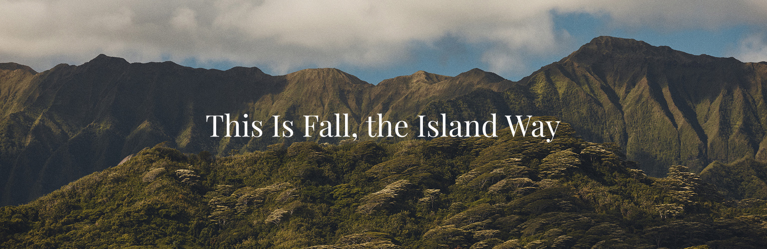 The Fall Edit - October Spotlight