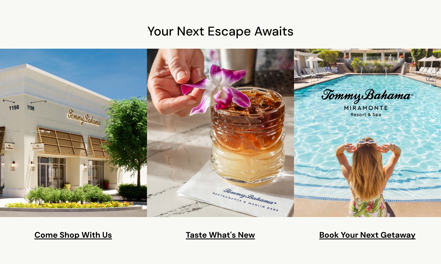 Your Next Escape Awaits
