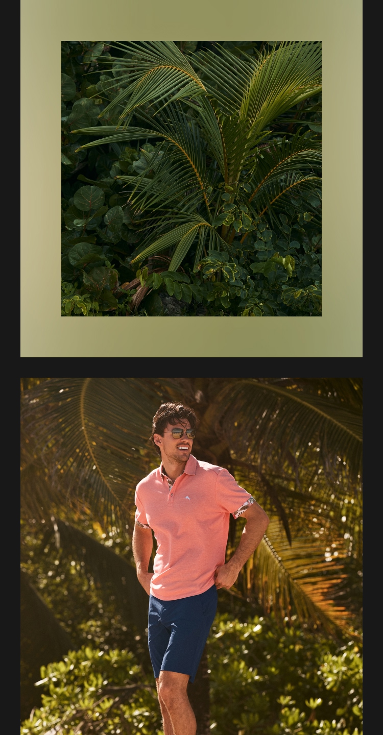 Shop Men's Polos