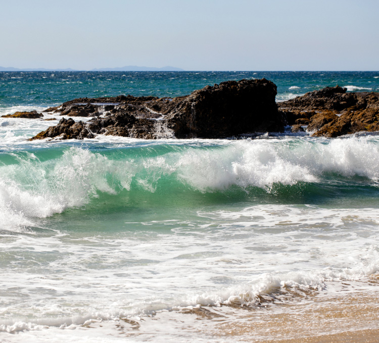 Waves
