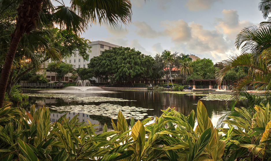 Image of Pond