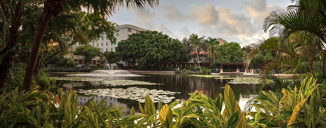 Image of Pond