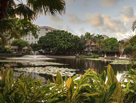 Image of Pond