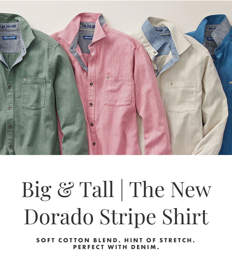 The New Dorado Stripe Shirt
