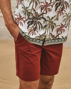 Big & Tall Editorial Shorts