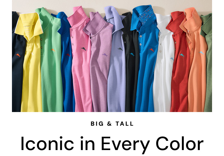 Iconic in Every Color | Big & Tall