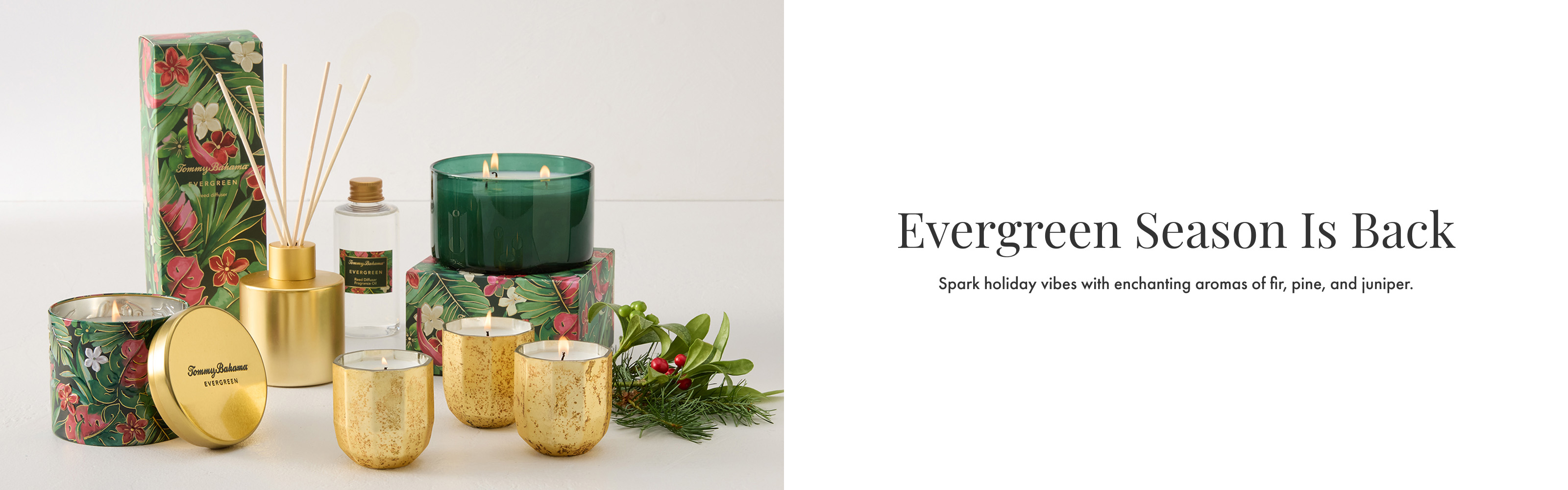 Evergreen Season Is Back
