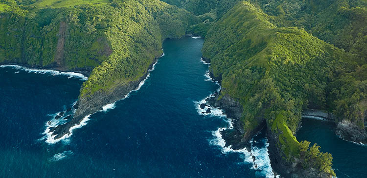 Welcome to The Big Island