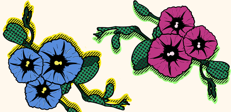 Jordan Bigelow's Artwork