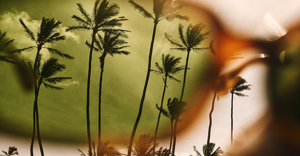 How To: Make Leap Day Really Count
