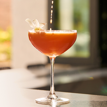 Tommy Bahama Marlin Bar Food and Drinks