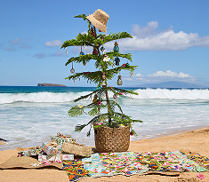 Best Holiday Gifts 2025: Unique Gifts by Exceptional Makers