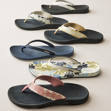 Lineup shot of various sandal styles