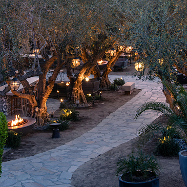 Pathway of golden tree light at Miramonte Resort & Spa