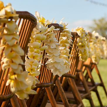 Hawaiian Lei's Draped Over Lawn Chairs