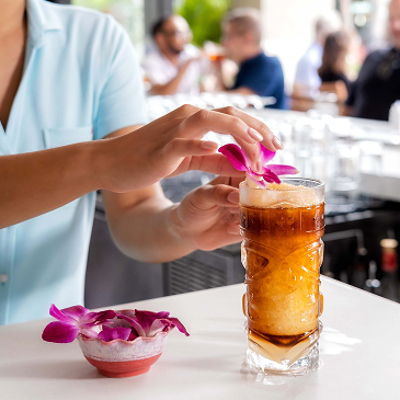 Frozen Mai Tai Tropical Cocktail