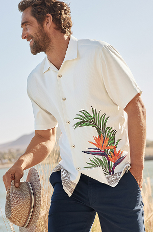 Men's Shirts