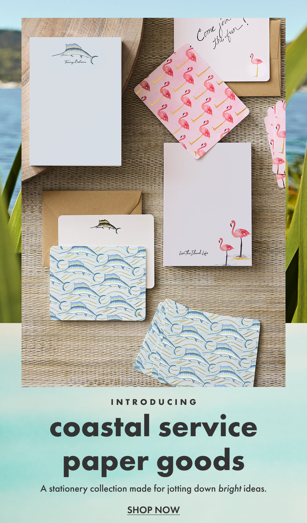 Coastal Service Paper Goods - Shop Now