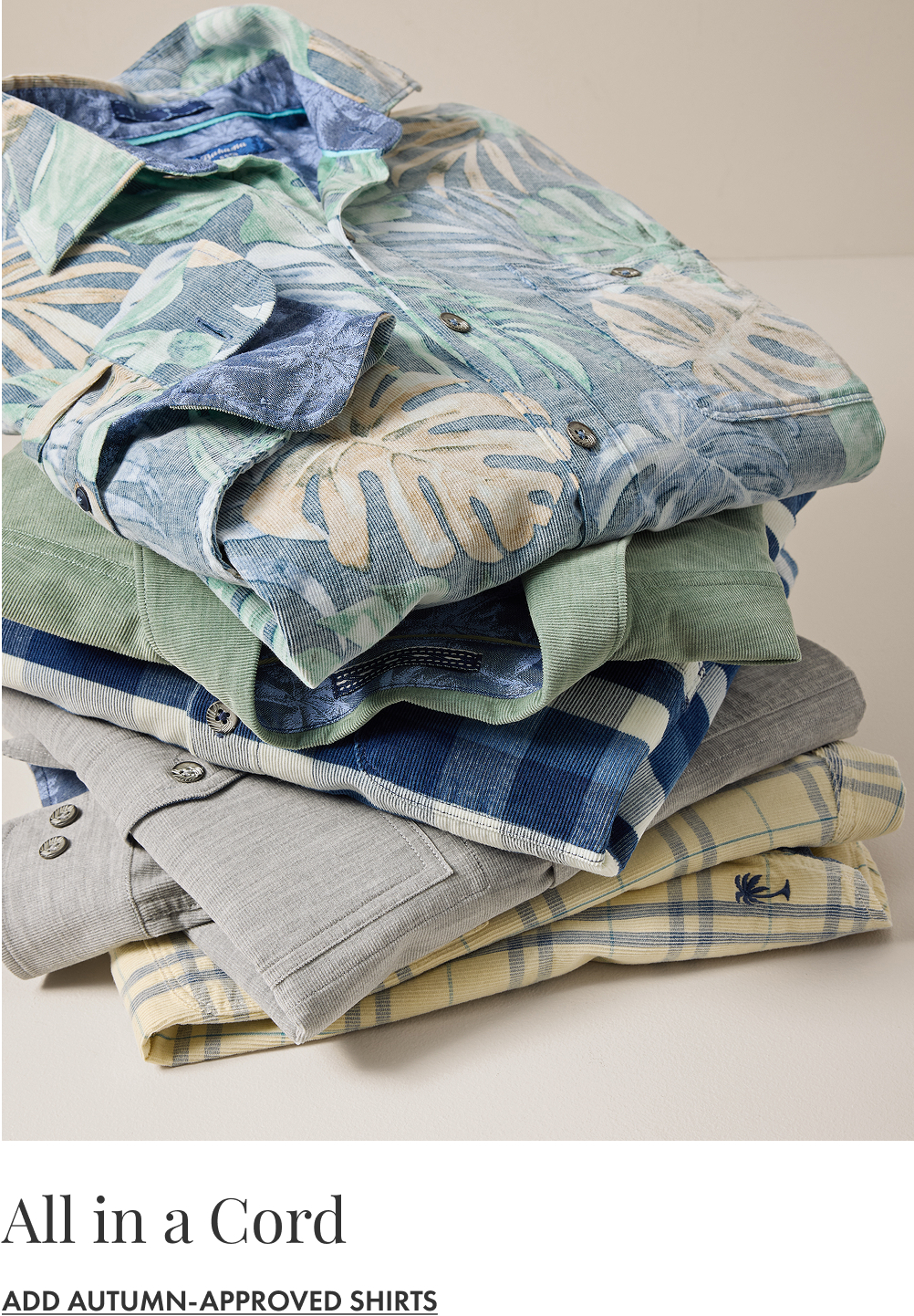 Coastline Shirts Laid Out