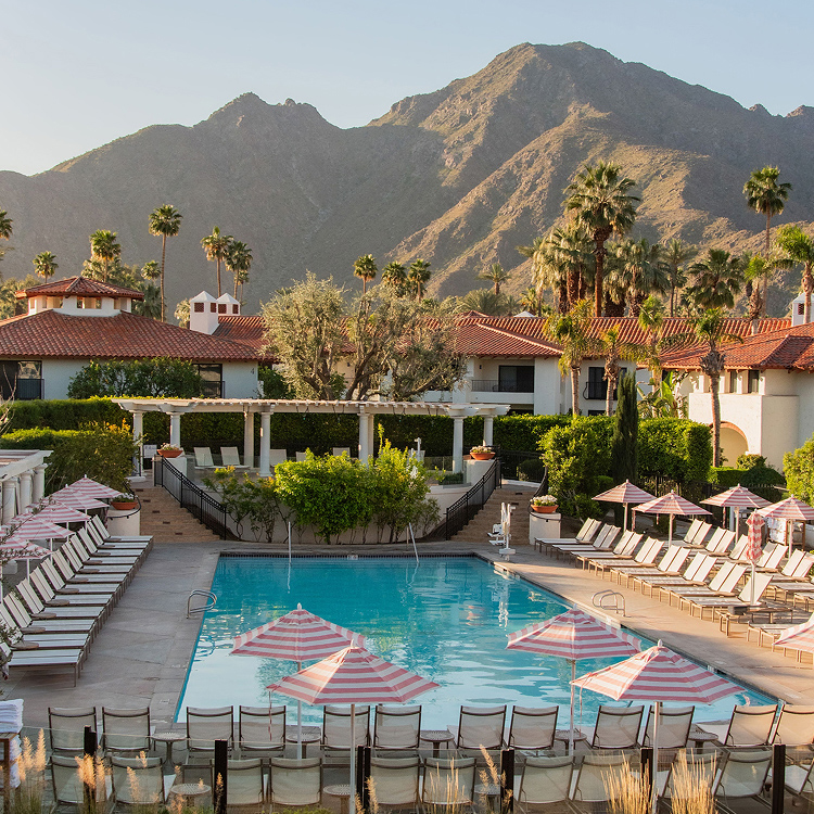 Welcome To Your Desert Oasis