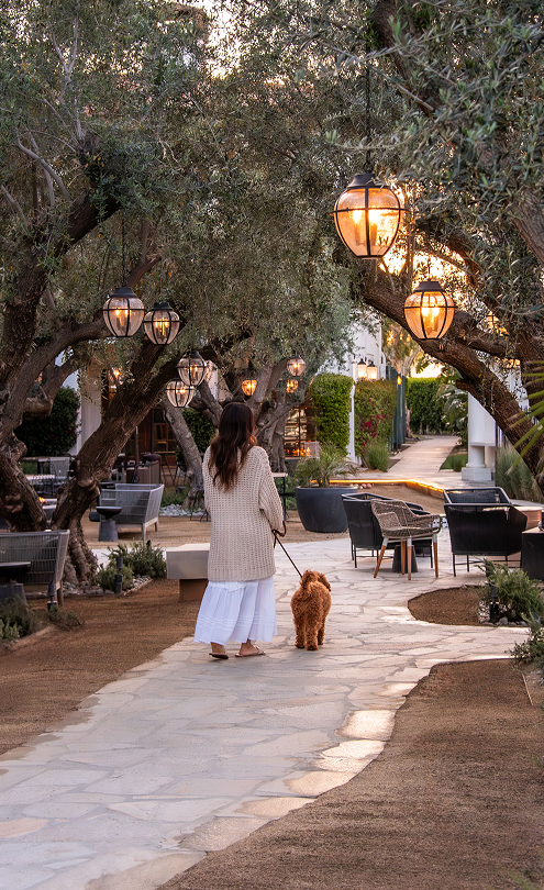 Outdoor Fireplace in the Olive Grove