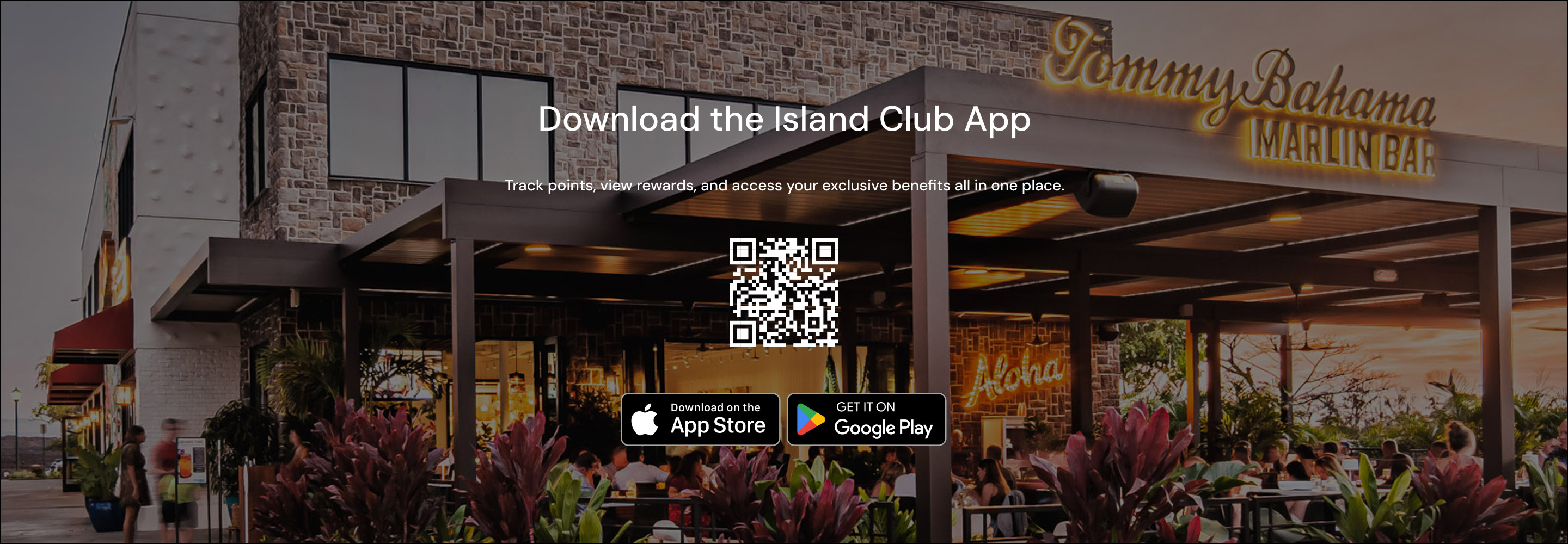 Download the Island Club App | Apple App Store & Google Play