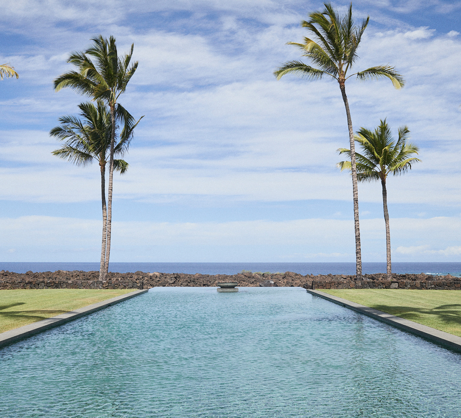 Paradise Pop-Ups Palm Trees Image