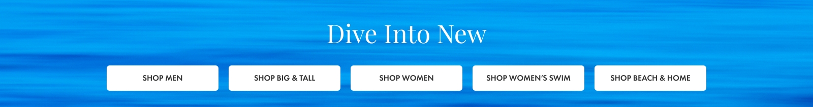 Dive Into New