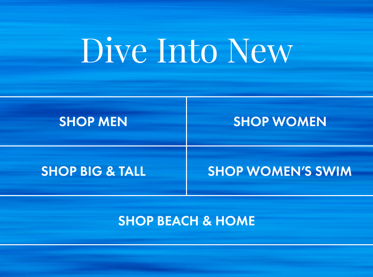 Dive Into New